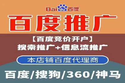 行业领先企业如何运用SEM运营推广
